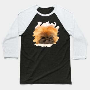 Portrait of fluffy sad Pekingese puppy Baseball T-Shirt